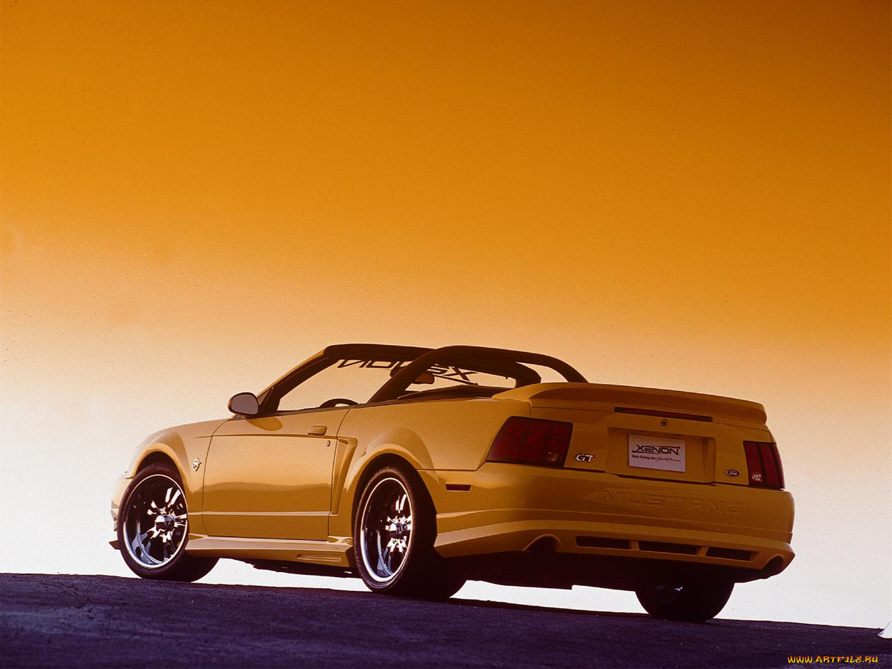 , mustang